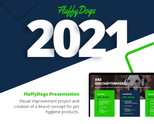 Selected slides from a 2024 business strategy presentation